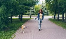 Dog Walk & Train Services: Smarter Walks for Happier Dogs