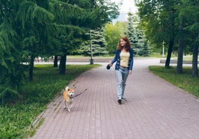 Dog Walk & Train Services: Smarter Walks for Happier Dogs